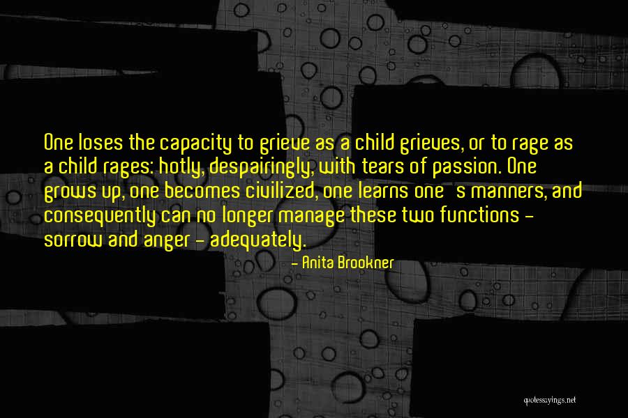 Sampayo Origin Quotes By Anita Brookner Sampayo Origin Quotes By Anita Brookner