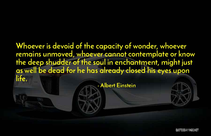Sampoerna University Quotes By Albert Einstein