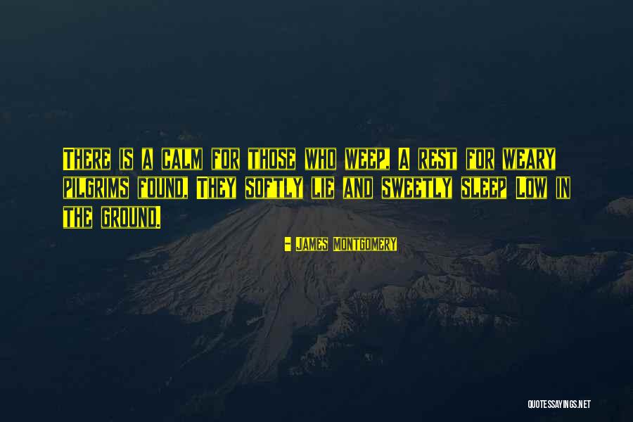 Samruddhi Shinde Quotes By James Montgomery Samruddhi Shinde Quotes By James Montgomery