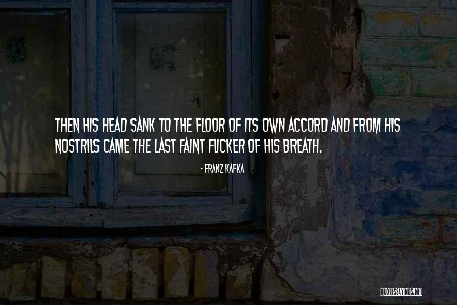 Samsa Quotes By Franz Kafka Samsa Quotes By Franz Kafka