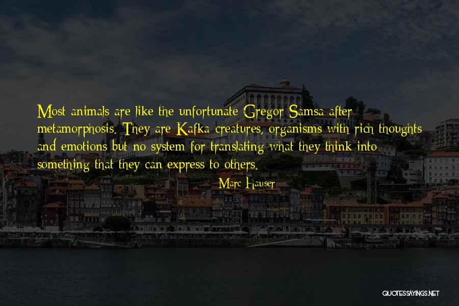 Samsa Quotes By Marc Hauser Samsa Quotes By Marc Hauser
