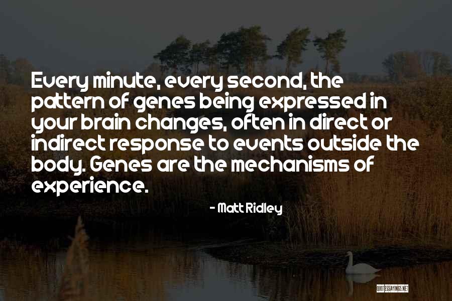 Samsam Cartoon Quotes By Matt Ridley Samsam Cartoon Quotes By Matt Ridley