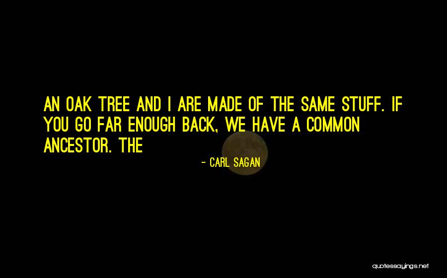 Samskara Novel Quotes By Carl Sagan