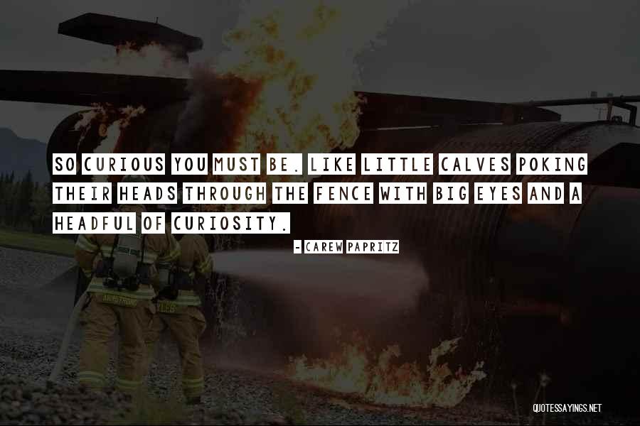 Samsonov Goalie Quotes By Carew Papritz Samsonov Goalie Quotes By Carew Papritz