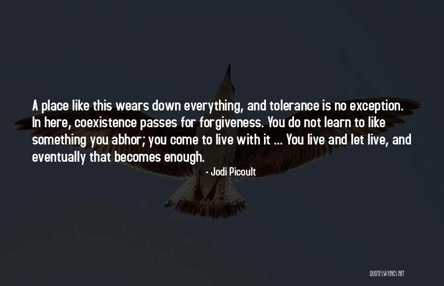 Samtampa Quotes By Jodi Picoult Samtampa Quotes By Jodi Picoult