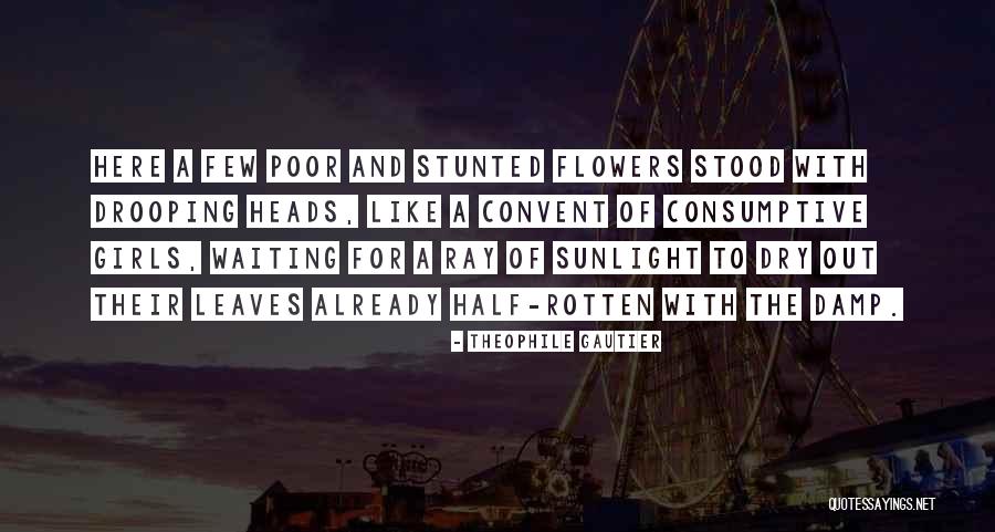 Samtidighetsfaktor Quotes By Theophile Gautier Samtidighetsfaktor Quotes By Theophile Gautier