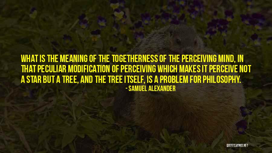 Samuel Alexander Quotes 937140