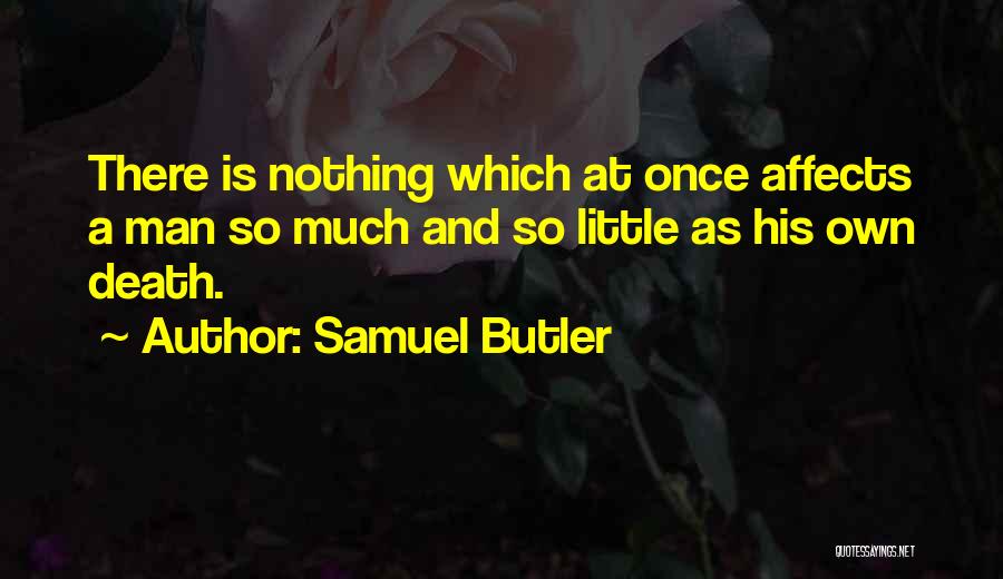 Samuel Butler Quotes 1257425