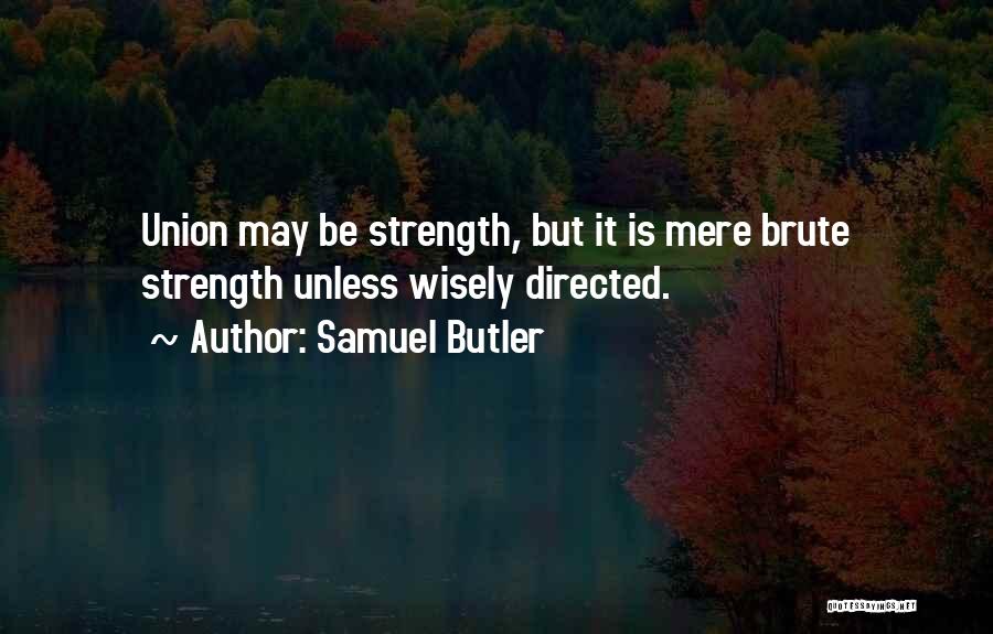 Samuel Butler Quotes 1475310