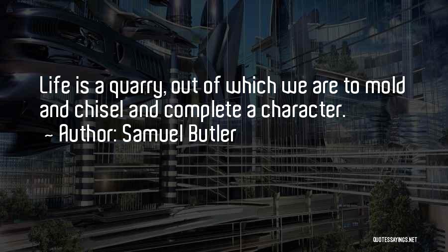 Samuel Butler Quotes 1676144