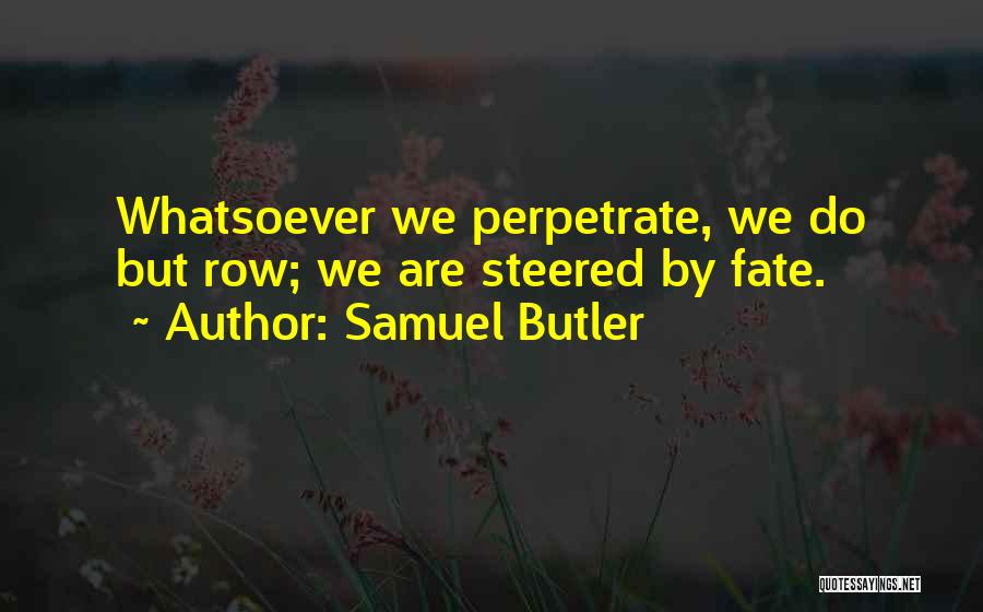 Samuel Butler Quotes 274327