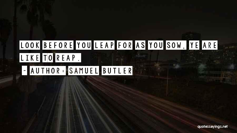 Samuel Butler Quotes 413754