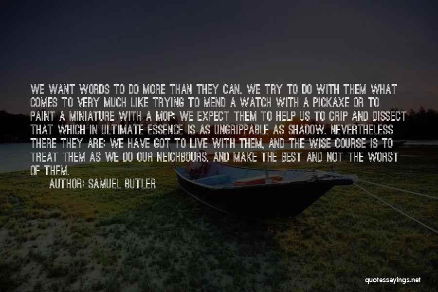 Samuel Butler Quotes 469458