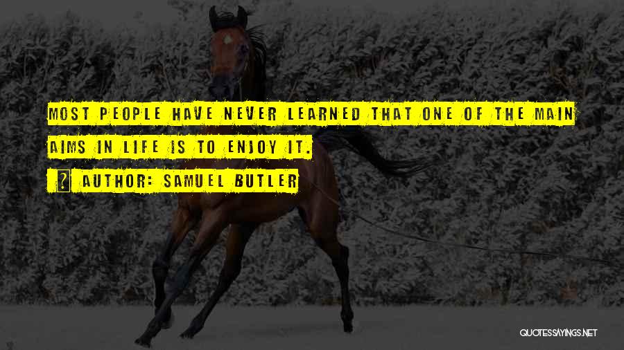 Samuel Butler Quotes 475825