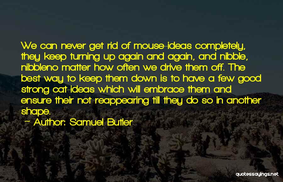 Samuel Butler Quotes 828739