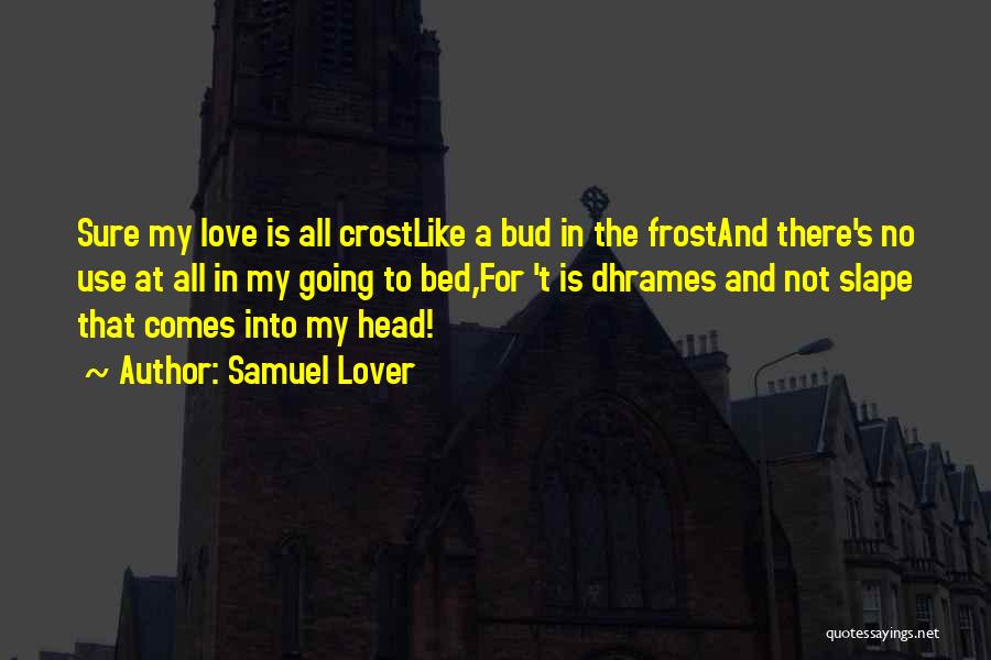 Samuel Lover Quotes 1676291