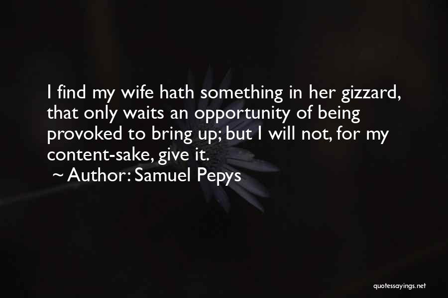 Samuel Pepys Quotes 1171461