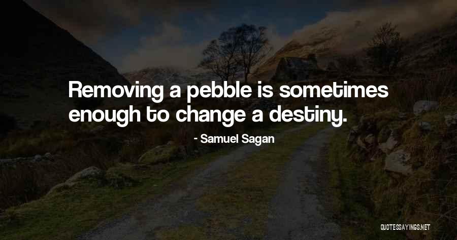 Samuel Sagan Quotes 1739993 Samuel Sagan Quotes 1739993