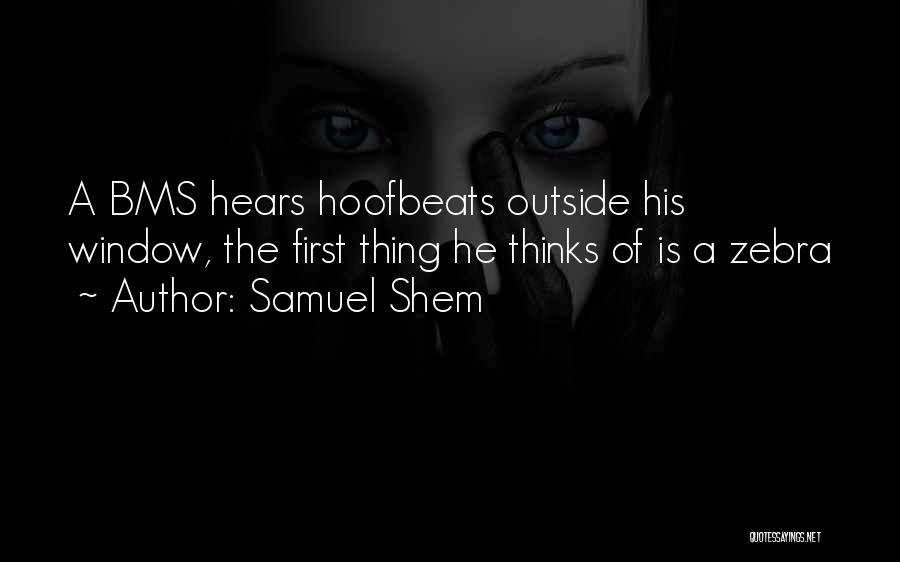 Samuel Shem Quotes 359838