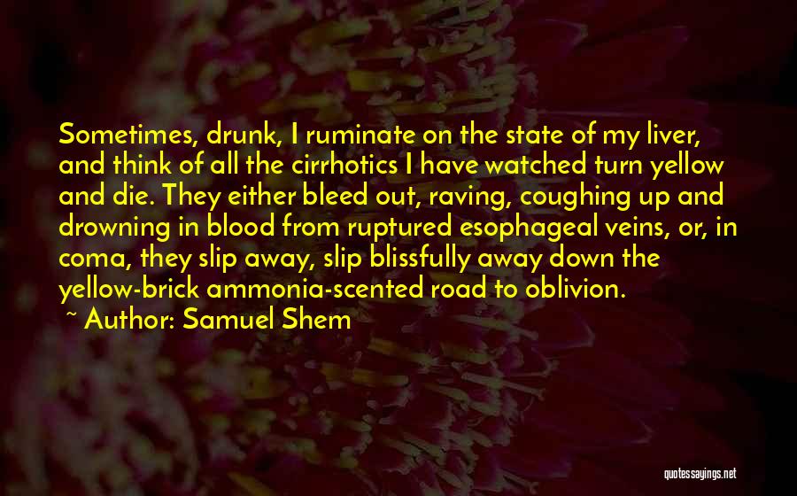 Samuel Shem Quotes 997797
