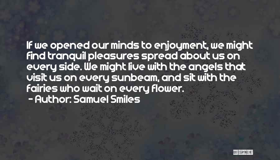 Samuel Smiles Quotes 543185