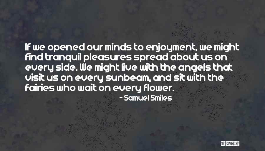 Samuel Smiles Quotes 543185