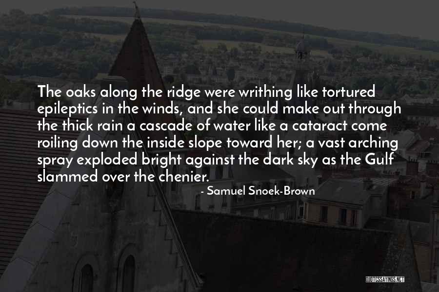 Samuel Snoek-Brown Quotes 1766312 Samuel Snoek-Brown Quotes 1766312