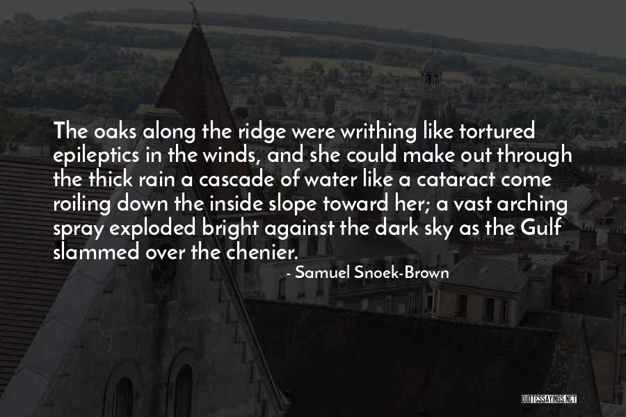 Samuel Snoek-Brown Quotes 1766312