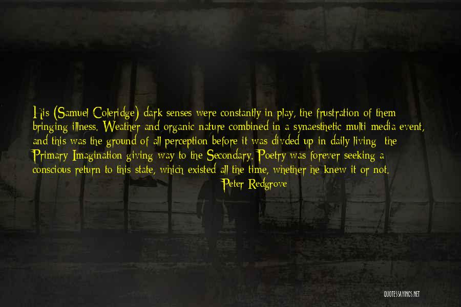 Samuel Taylor Coleridge Imagination Quotes By Peter Redgrove Samuel Taylor Coleridge Imagination Quotes By Peter Redgrove