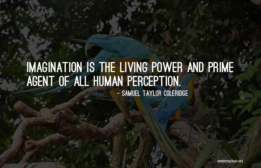 Samuel Taylor Coleridge Imagination Quotes By Samuel Taylor Coleridge Samuel Taylor Coleridge Imagination Quotes By Samuel Taylor Coleridge