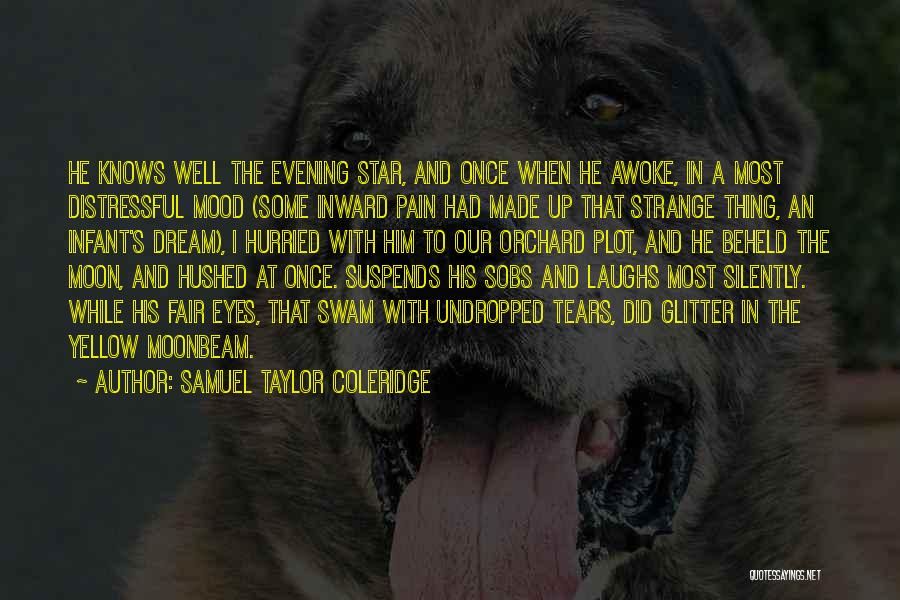 Samuel Taylor Coleridge Quotes 162589