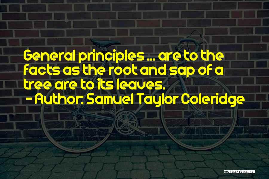 Samuel Taylor Coleridge Quotes 2167593