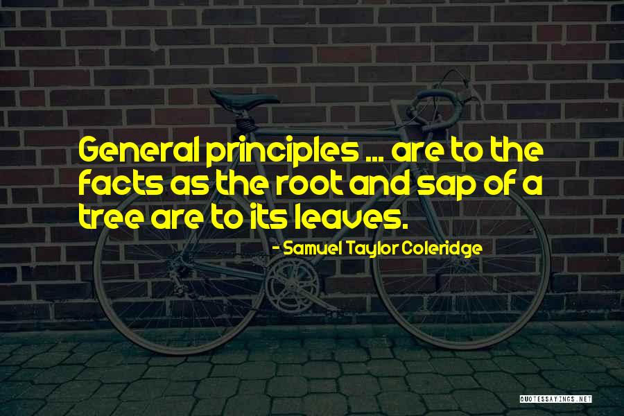 Samuel Taylor Coleridge Quotes 2167593 Samuel Taylor Coleridge Quotes 2167593
