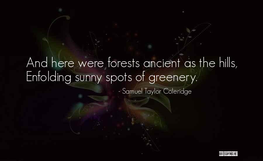 Samuel Taylor Coleridge Quotes 580246 Samuel Taylor Coleridge Quotes 580246