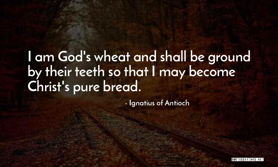 Samuelito Quotes By Ignatius Of Antioch Samuelito Quotes By Ignatius Of Antioch