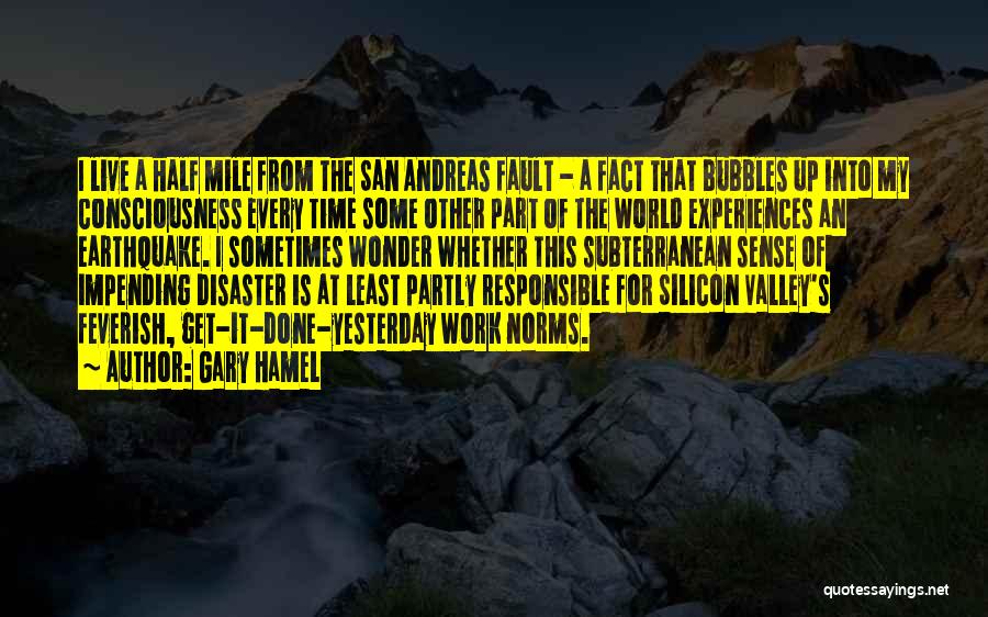 San Andreas Fault Quotes By Gary Hamel