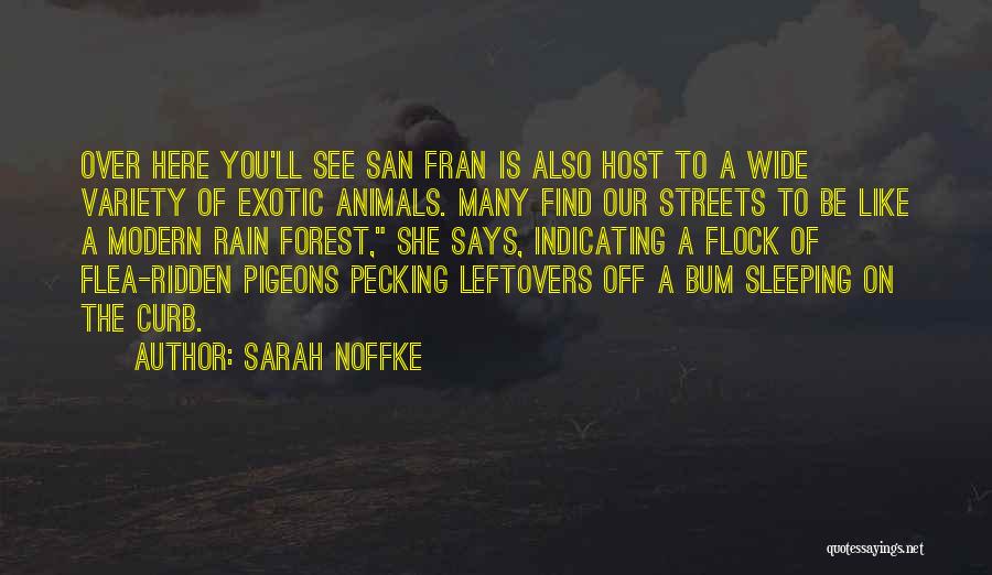 San Fran Quotes By Sarah Noffke