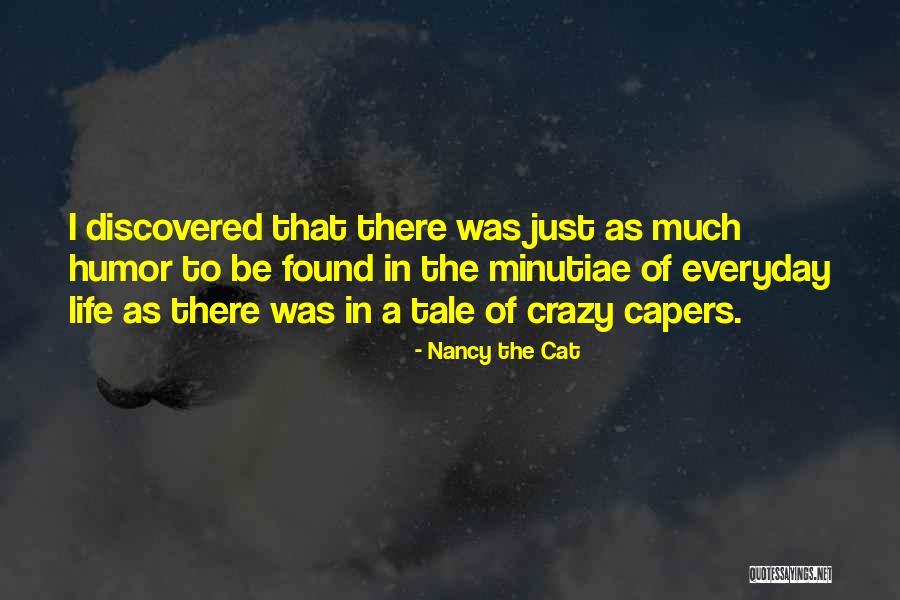 San Francisco De Sales Quotes By Nancy The Cat San Francisco De Sales Quotes By Nancy The Cat