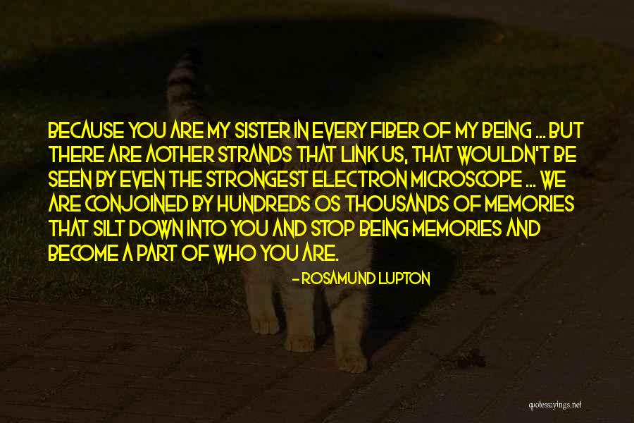 San Jorge And The Dragon Quotes By Rosamund Lupton San Jorge And The Dragon Quotes By Rosamund Lupton