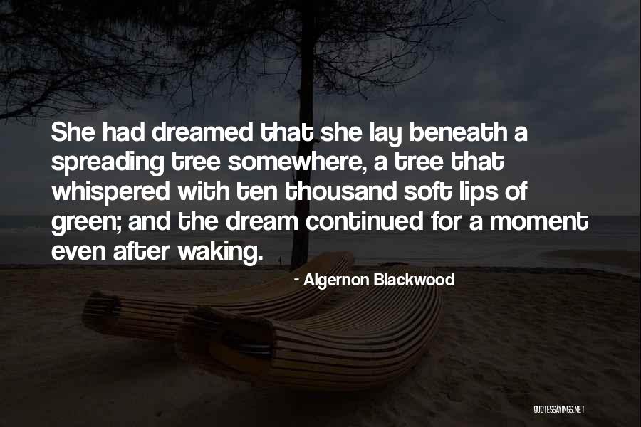 San Onofre Quotes By Algernon Blackwood San Onofre Quotes By Algernon Blackwood