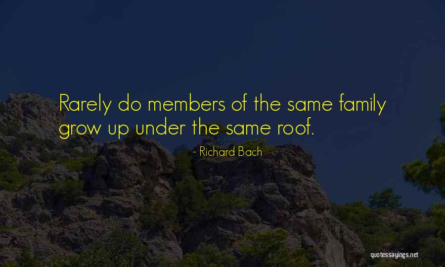 Sananda Francesco Quotes By Richard Bach Sananda Francesco Quotes By Richard Bach