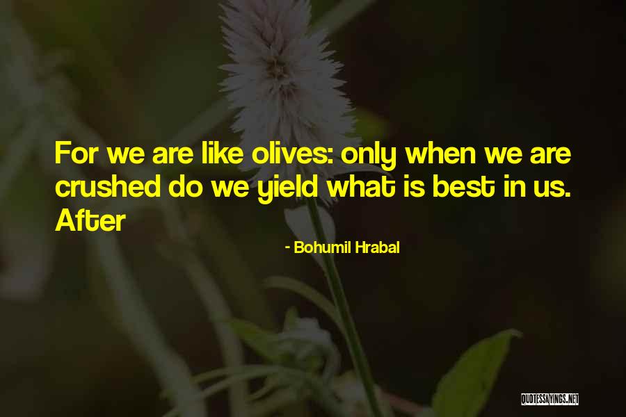 Sananda Quotes By Bohumil Hrabal Sananda Quotes By Bohumil Hrabal