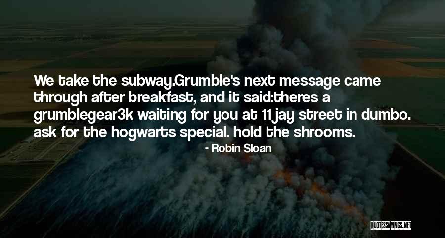 Sanarate Guatemala Quotes By Robin Sloan Sanarate Guatemala Quotes By Robin Sloan