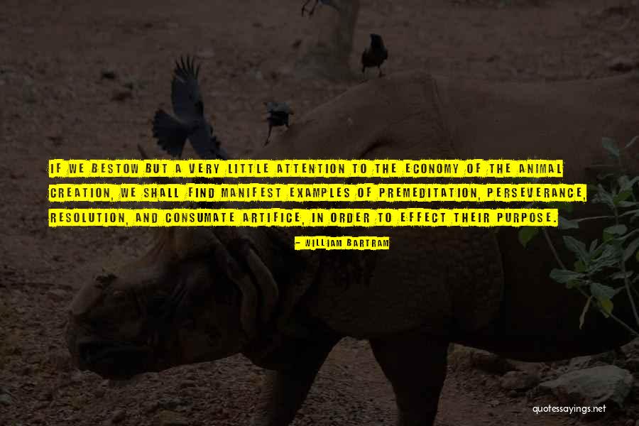 Sanarate Guatemala Quotes By William Bartram Sanarate Guatemala Quotes By William Bartram