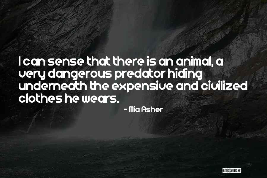 Sanatani Hindu Quotes By Mia Asher Sanatani Hindu Quotes By Mia Asher