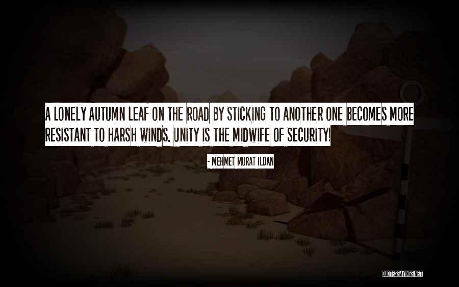 Sanatoria Quotes By Mehmet Murat Ildan Sanatoria Quotes By Mehmet Murat Ildan