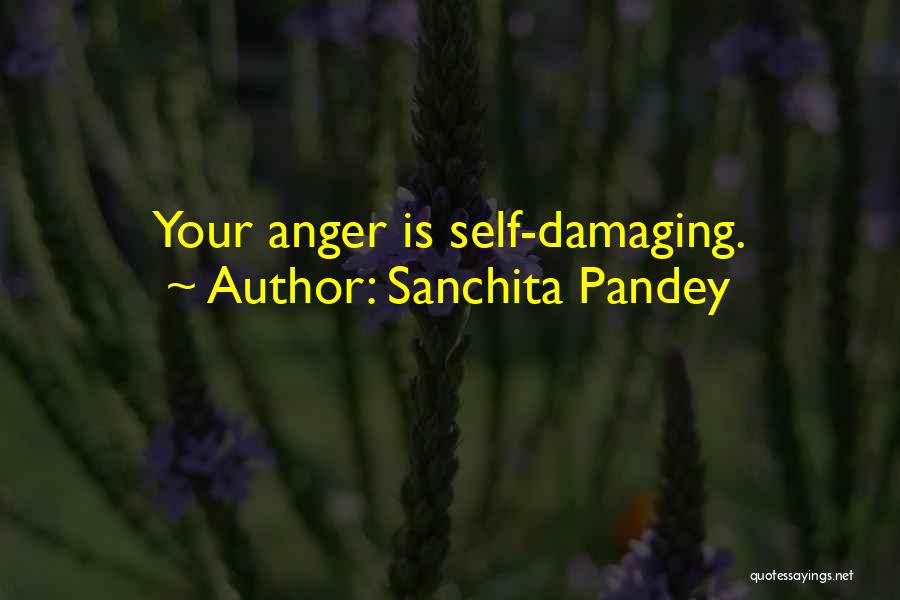 Sanchita Pandey Quotes 1227892