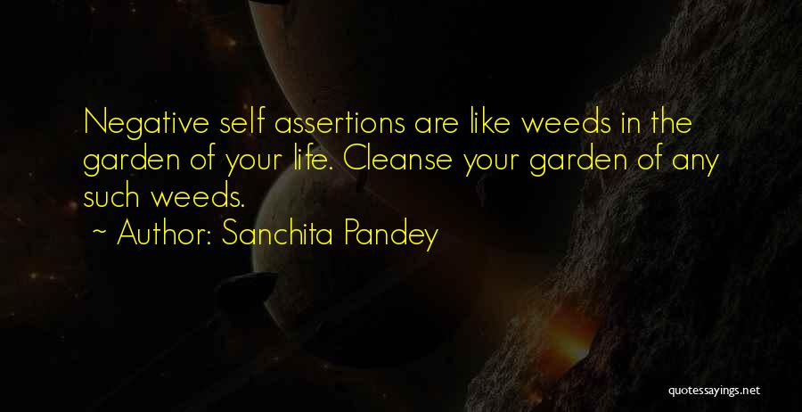 Sanchita Pandey Quotes 1252032