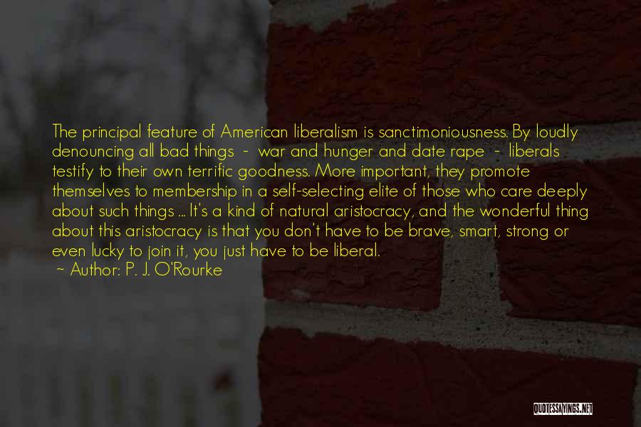 Sanctimoniousness Quotes By P. J. O'Rourke