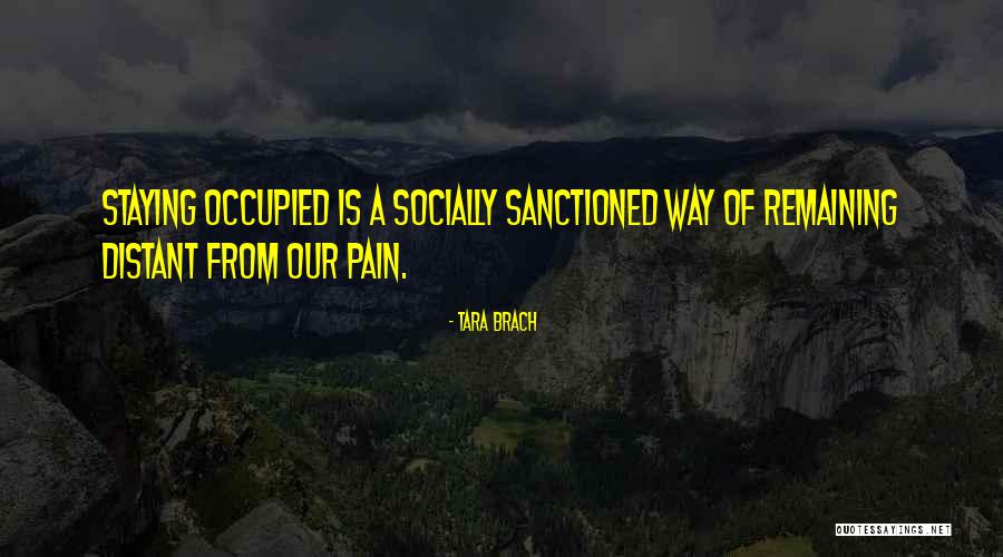 Sanctioned Quotes By Tara Brach